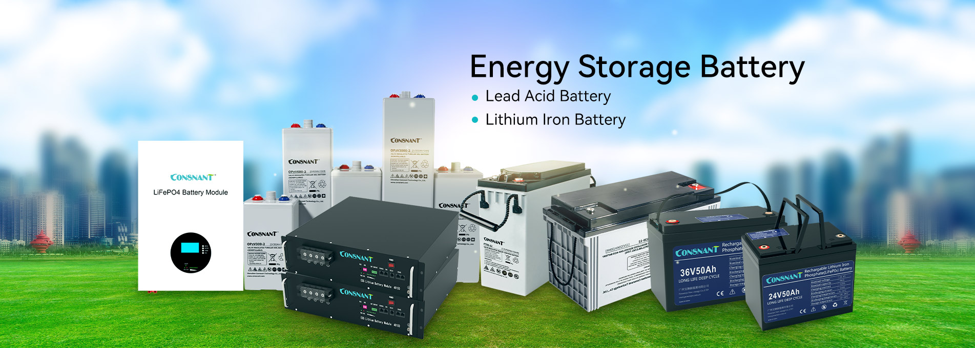 Lithium Ion Battery