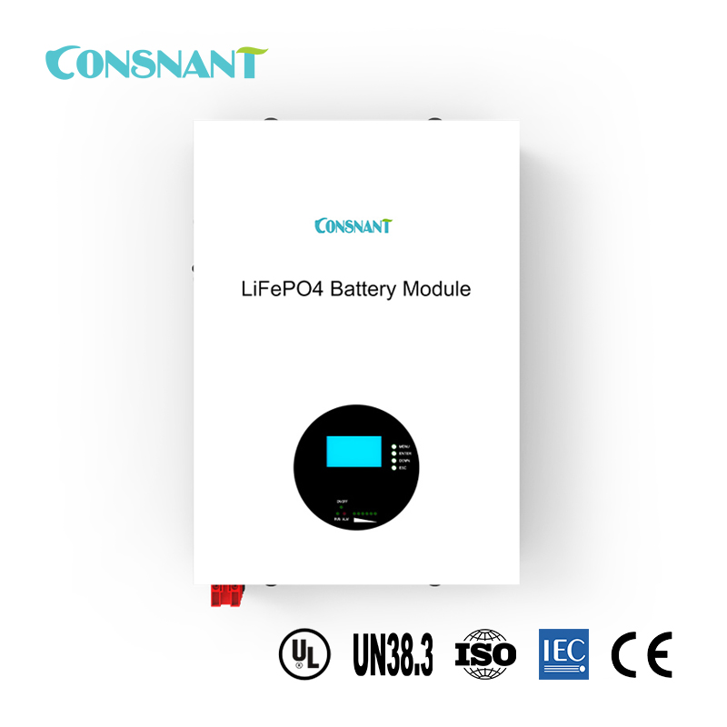 Wall Mount LiFePO4 Battery Pack
