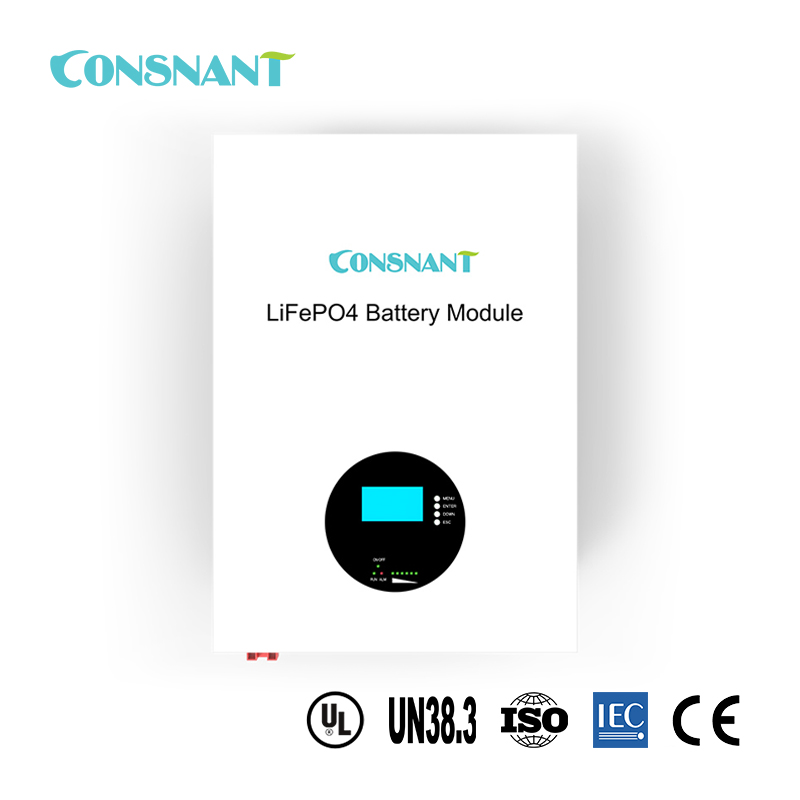 Wall Mount LiFePO4 Battery Pack 48V