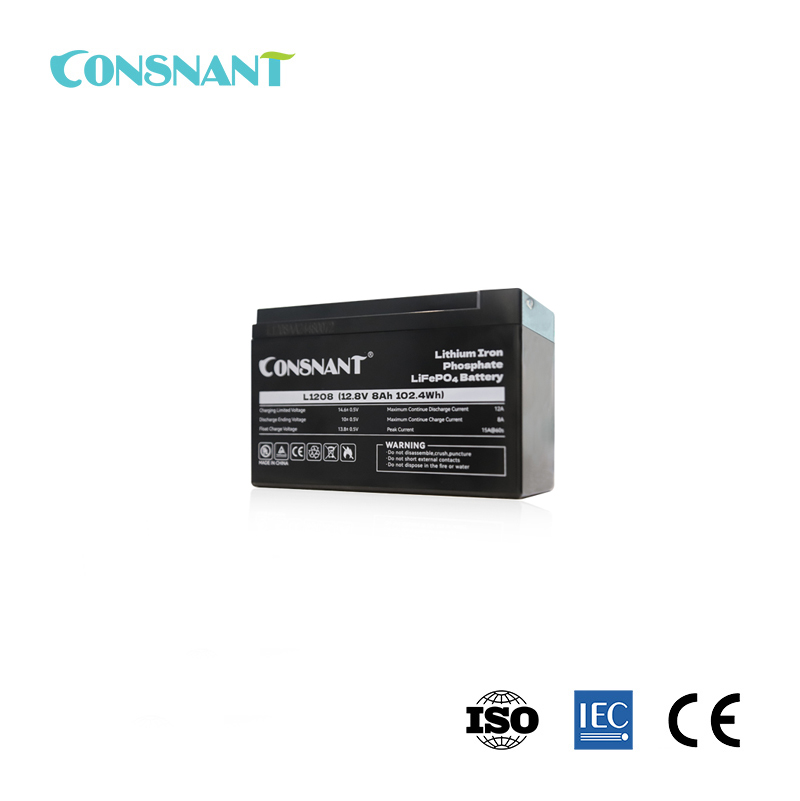 Lithium lon Iron Phosphate Battery