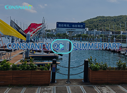 CONSNANT Summer Party