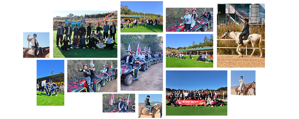 CONSNANT Team Building Trip